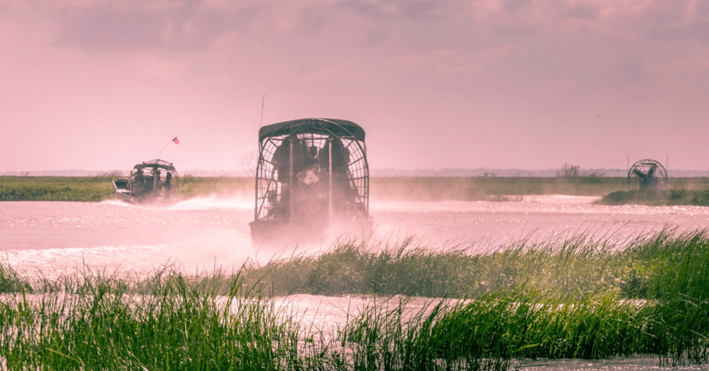 Everglades-Things do do in Miami